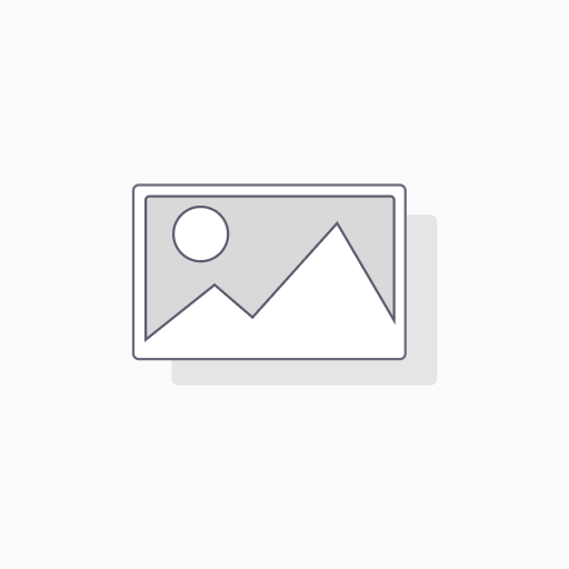 [PALA PLEGABLE ABS] PALA PLEGABLE PLASTICA ABS negra 24x28 cm - Antichispas